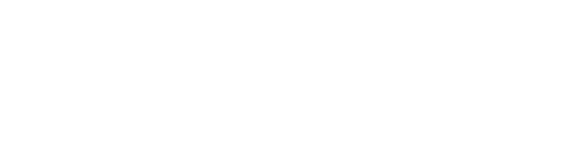 Southeast Natural Medicine logo